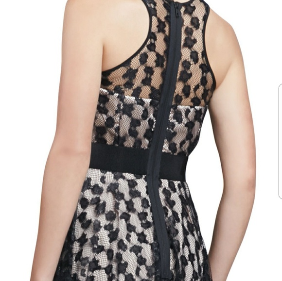 Milly Women's Dress Lace-overlay Sweetheart Dress - Picture 3 of 8